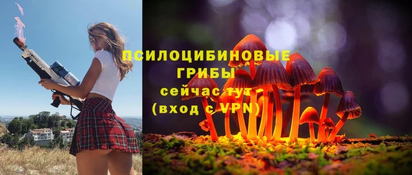 амф Алзамай