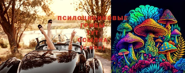 амф Алзамай